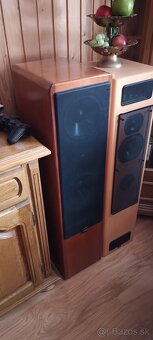 Canton ergo 81dc - 3