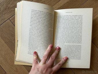 Prebúdzanie obra: román o živote biskupa Štefana Moysesa - 3