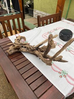 Korene do akvaria - 3