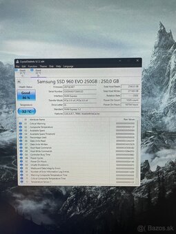 SAMSUNG SSD 960 EVO - 3