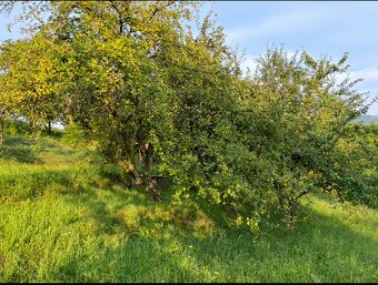 Pozemok pre chatu - 3