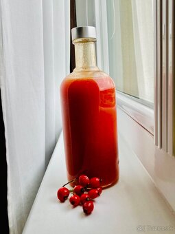 Domáce bylinkové sirupy - 3