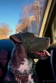 Posuniem do dobrých rúk staforda - 3