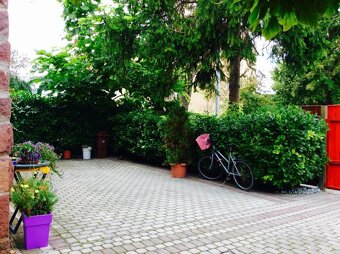 Dlhodoby prenajom 5 izbovy rodinny dom so zahradou - 3