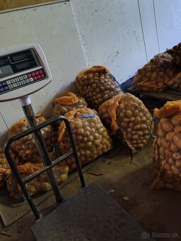 Predám konzumne zemiaky - 3