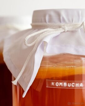 Kombucha + štartovací nálev - 3