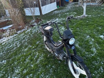 predam manet korado - 3