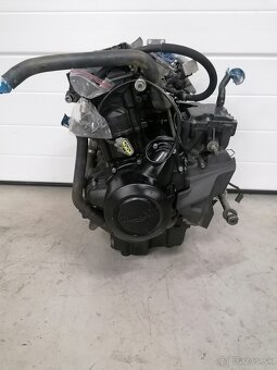 Tiger 800 - 3