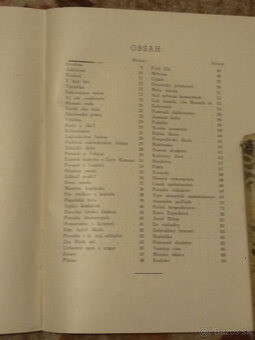 Červený Kameň - 3
