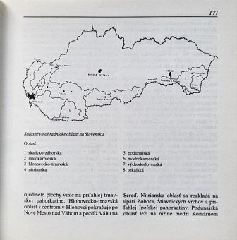 Ema Drábiková - Človek vo vinici - 3