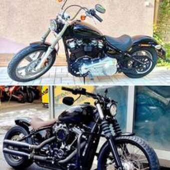 HARLEY DAVIDSON SOFTAIL CUSTOM - 3