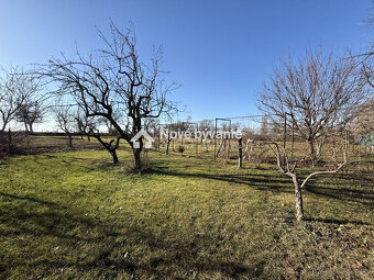 Top cena,na predaj pozemok-Želiezovce/Svodov(N157-14-FRADE) - 3