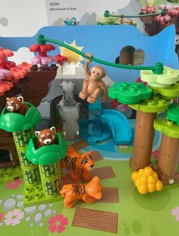 Lego Duplo Wild animals of Asia - 3