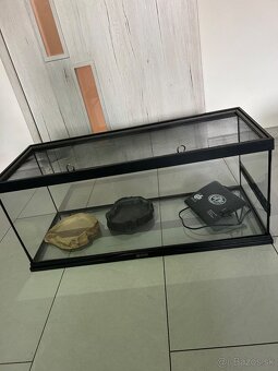 Terrarium - 3