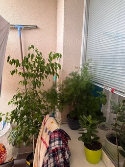 Prenajíma sa útulný a svetlý 2-izbový byt s balkónom - 3