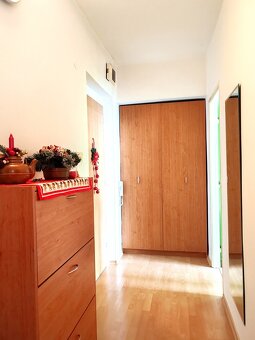 Znížená cena 1 izbový krásny byt Brezová pod Bradlom - 3