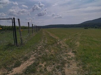Na predaj budúci stavebný pozemok, pri Trnave, Lošonec. - 3