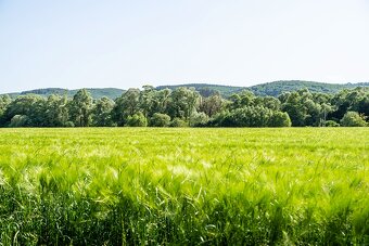 VEĽKÝ POZEMOK S POTENCIÁLOM - KOMÁROV - 3