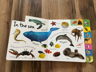 Detské AJ obrázkové knihy Animal + On the move book - 3