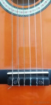 Gitara s puzdrom - 3