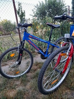 Author 24ka bicykle - 3