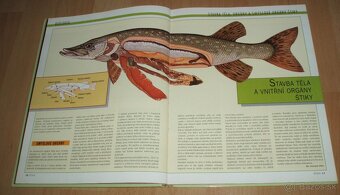 Štika – Kniha časopisu Blinker - 3