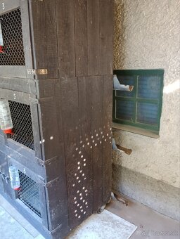 Predám kralikareň - 3