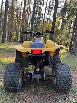 Polaris Trail Blazer 250 - 3