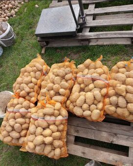 Cerstva Kapusta rezana 0.70€/kg zemiaky 0.53€/kg - 3