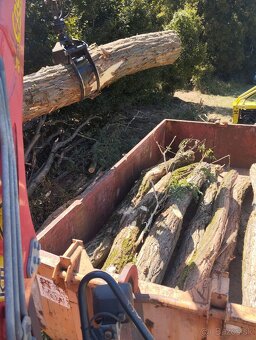 Predam palivové drevo - 3