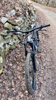 Marin Alpine Trail e2 - 3