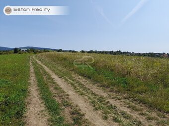 Predaj investičný pozemok 5380 m2, Ľubotice - 3