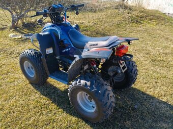 Stels ATV 50C 2T - 3