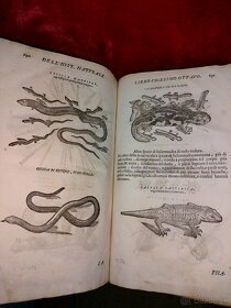 Stara velka kniha Encyklopedia živočíšnej ríše z r. 1672 - 3