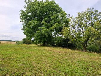 PANICKÉ DRAVCE - RD na pozemku 5400 m2 - 3