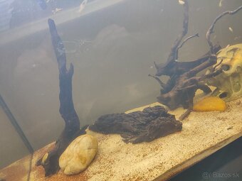 PREDÁM 120L AKVÁRIUM - 3