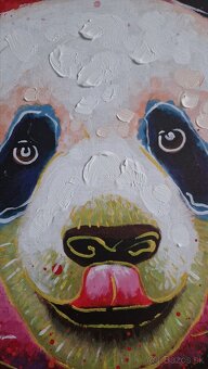 Obraz Panda 80x80 cm - 3