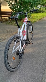 Dámsky bicykel - 3