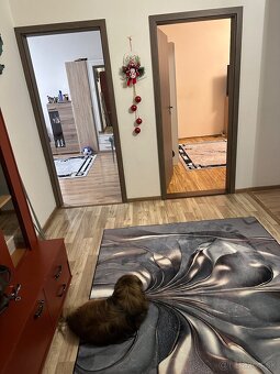 Krásny veľký byt - 3