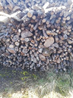 Palivové drevo suché - 3