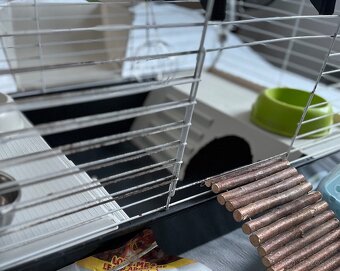 Klientka pre morčatá s príslušenstvom - 3