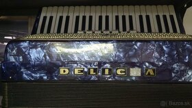 Harmonika delicia - 3