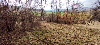 záhrada Dolná súča - 1000+1100 m2 so stromami - 3