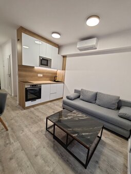 Prenájom 1.izbového bytu BD Orion - 3