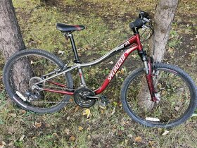 Specialized Hotrock 24 - 3