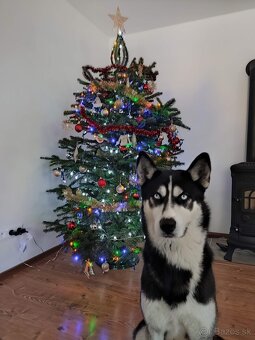 Husky na krytie - 3