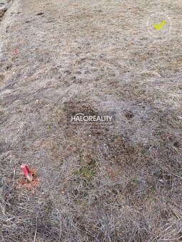 HALO reality - Predaj, rekreačný pozemok Nálepkovo, Zahájnic - 3