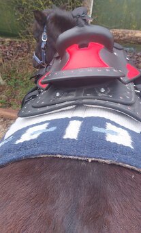 Sedlo na ponika pre deti - 3