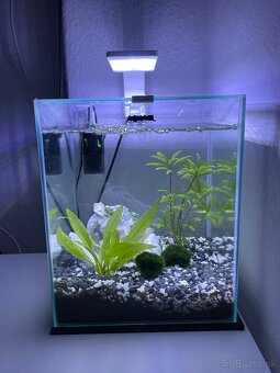 Aquael akvárium - 3