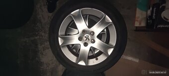 17 palcove disky na peugeot - 3